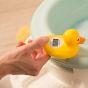 Дигитален термометър за вана и стая Пате - Rotho Babydesign