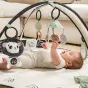 Активна гимнастика Tiny Love Developmental Gymini