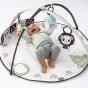 Активна гимнастика Tiny Love Developmental Gymini