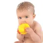 Играчка за баня Пате - Playgro