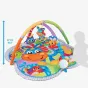 Музикална активна гимнастика Конче Хоп Троп - Playgro