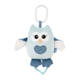 Музикална играчка Синьо Бухалче - Amek