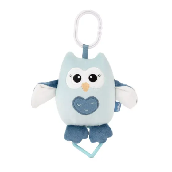 Музикална играчка Синьо Бухалче - Amek