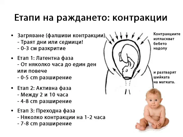 Етапи на раждането: Контракции
